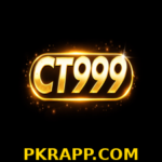 cz999 game