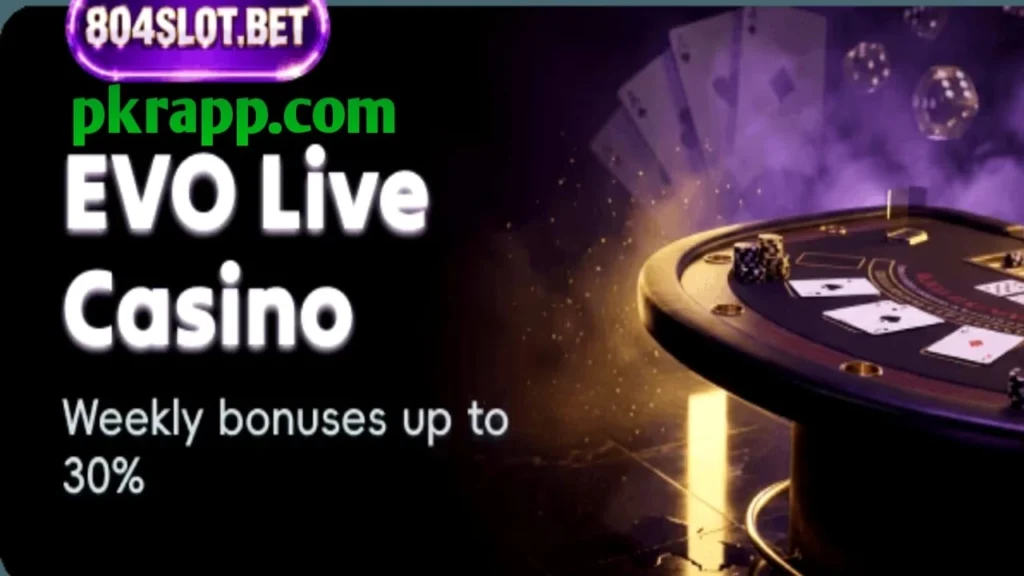 804Slot Game